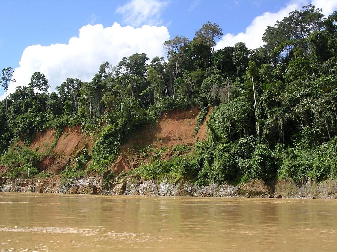 Zona 13 · Madre de Dios, onde a árvore será plantada