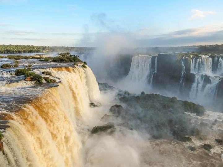 Zona 16 · Iguaçu, onde a árvore será plantada