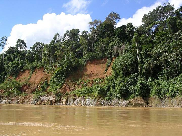 Zona 13 · Madre de Dios, onde a árvore será plantada