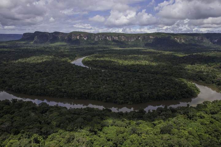 Zona 11 · Caquetá, onde a árvore será plantada
